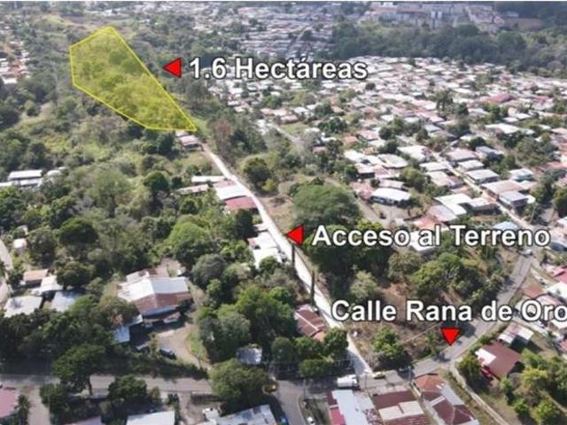 Terreno venta en Pedregal, David
