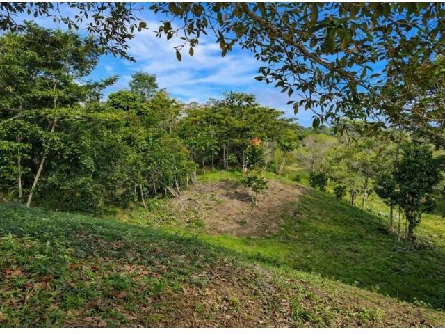 Terreno venta en Isla Colón, Bocas del Toro