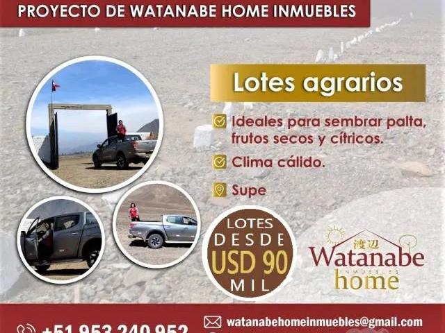 Terreno venta en Supe, Lima Metropolitana