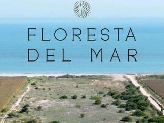 VENTA DE LOTES CONDOMINIO FLORESTA DEL MAR KM 214 PANAMERICANA SUR