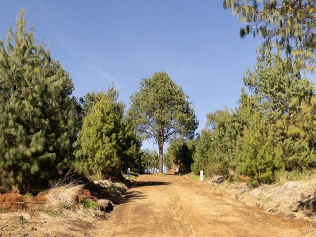 Terreno en venta en Zacatlán, Puebla