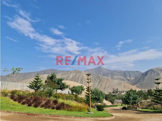 Terreno venta en Canete, Lima Metropolitana
