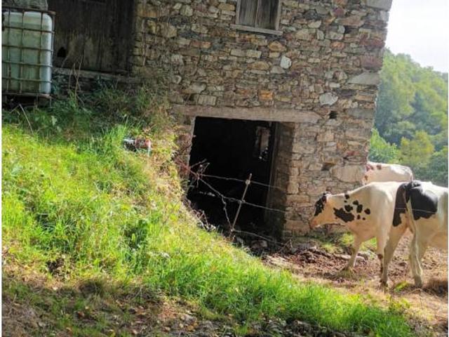 Nave en venta en Villayón, Asturias