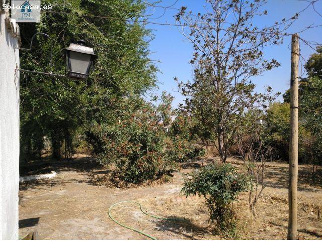 Casa en venta en Comarca de la Vega de Granada, Andalucía