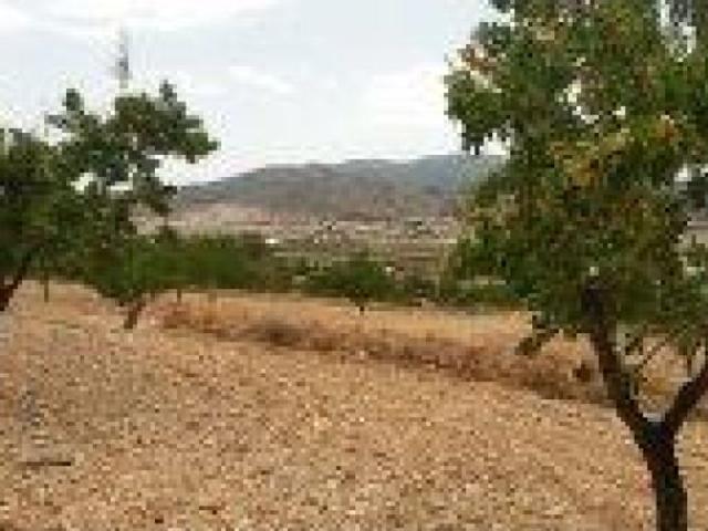 Local Comercial en venta en Penya de les Àguiles, el Baix Vinalopó