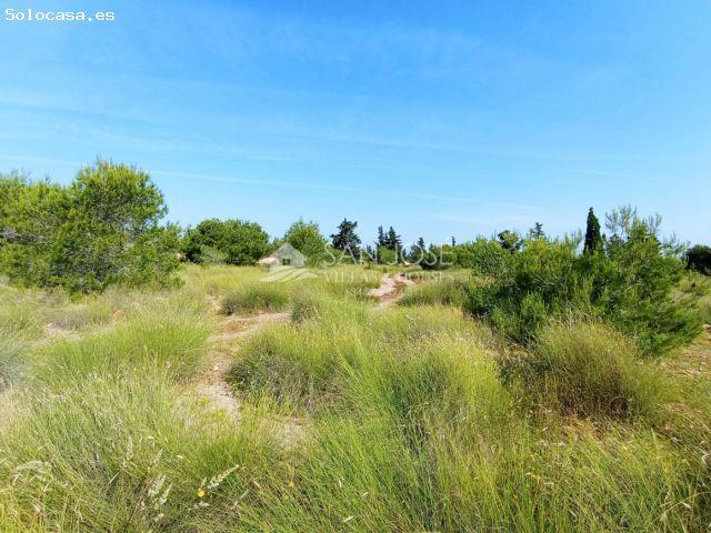 Local Comercial en venta en Torrellano, el Baix Vinalopó