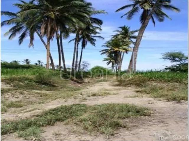 Terreno alquiler en Piura