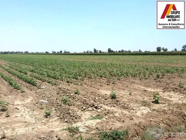Terreno venta en San Clemente, Ica