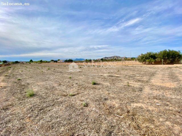 Local Comercial en venta en La Columna, el Vinalopó Mitjà / El Vinalopó Medio
