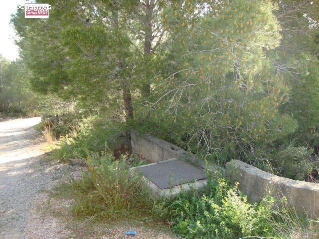 Local Comercial en venta en la Ribera Alta, Valencia