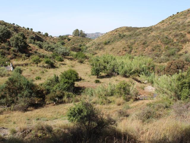 Terreno en venta en Costa del Sol Occidental, Andalucía