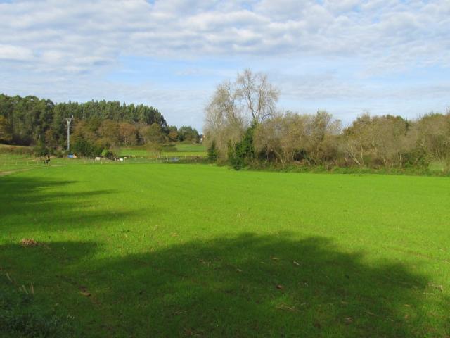 Chalet en venta en Ruiloba, Cantabria