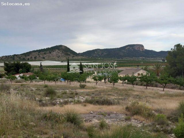 Local Comercial en venta en el Fondó, el Vinalopó Mitjà / El Vinalopó Medio