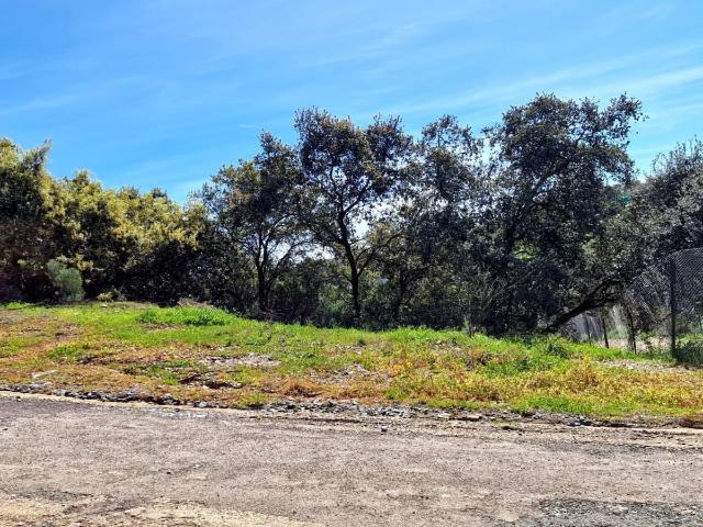 Terreno en venta en Guillena, Andalucía