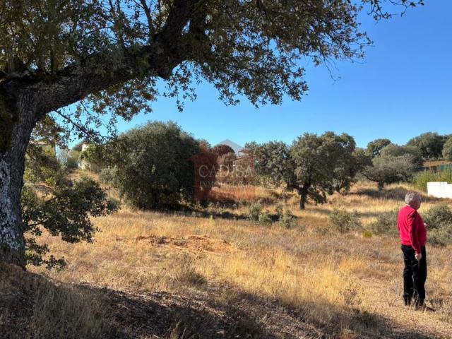 Terreno en venta en Urbanización Oasis Golf, Carrascal De Barregas