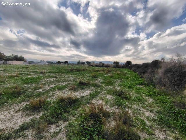 Local Comercial en venta en la Romaneta, el Vinalopó Mitjà / El Vinalopó Medio