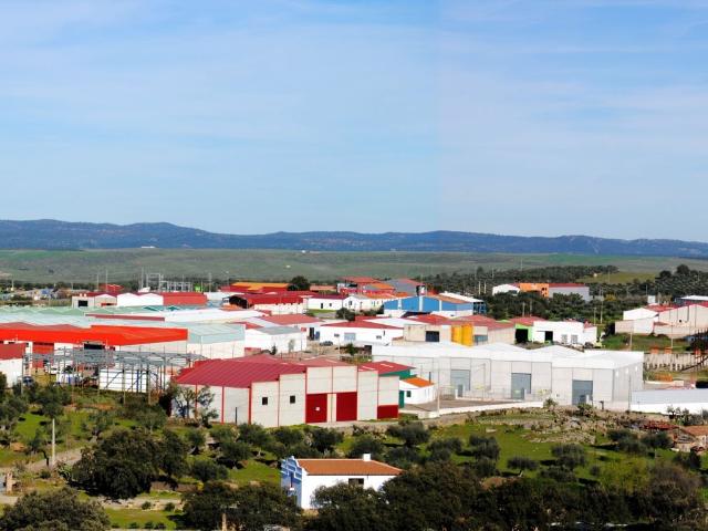 Terreno en venta en Valencia De Alcántara
