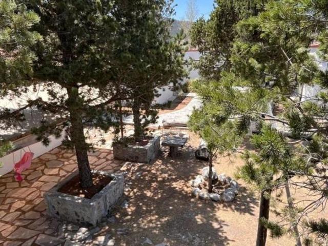Venta de Rancho a 1 km sobre carretera de San Antonio de las Alazanas