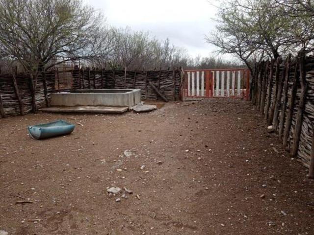 Venta de Rancho a puerta cerrada en Burgos Tamaulipas