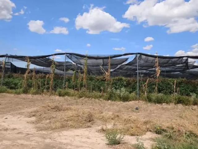 Venta de Rancho Agrícola