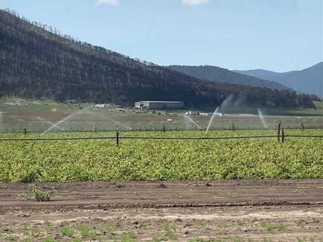 Venta de Rancho Agrícola Emiliano Zapata