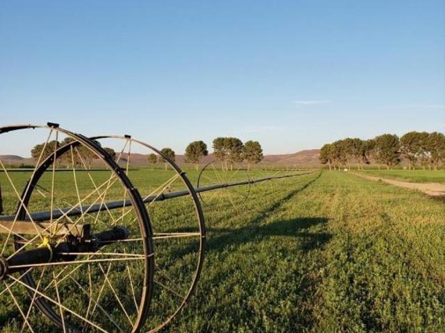 Rancho en venta en Chihuahua