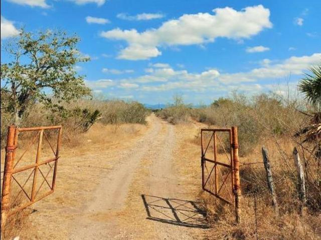 Venta de Rancho agrícola en González, Tam