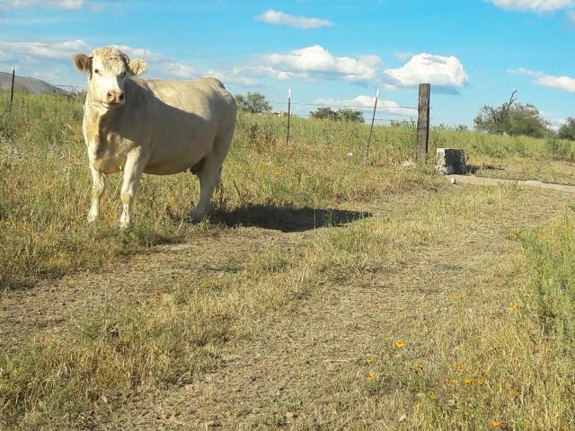 Departamento en venta en Satevó, Chihuahua