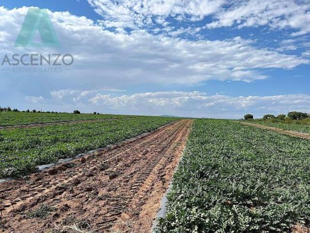 Rancho en venta en Meoqui, Chihuahua
