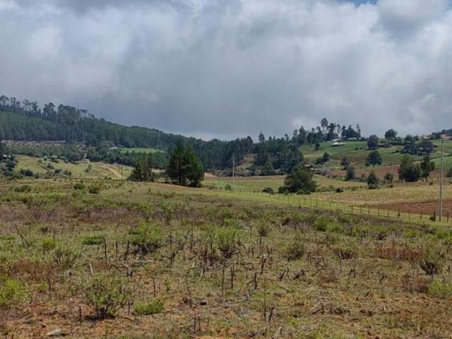 VENTA DE RANCHO CON CABAÑAS, 6 HECTÁREAS EN ZACATLÁN, PUEBLA