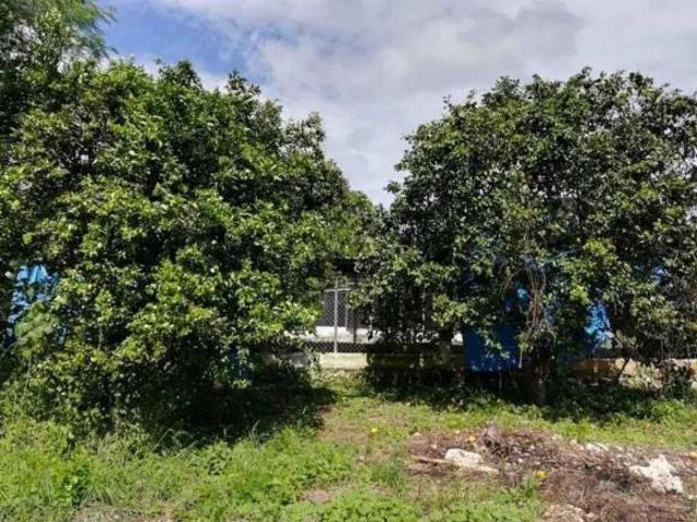 Rancho en venta en Umán, Yucatán