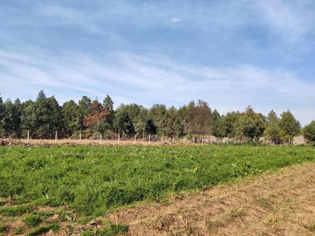VENTA DE RANCHO DE 6000 M2 CON CASA EN ZACATLÁN, PUEBLA