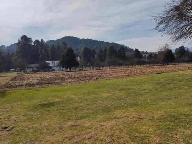 VENTA DE RANCHO DE 6000 M2 CON CASA EN ZACATLÁN, PUEBLA