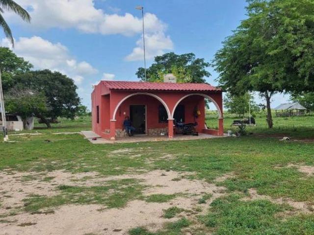 Rancho en venta en Tizimín, Yucatán