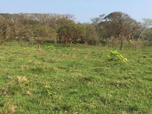 Terreno en venta en Misantla, Veracruz