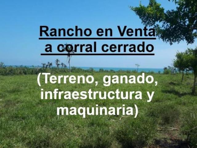 Rancho en venta en Poza Rica De Hidalgo, Veracruz
