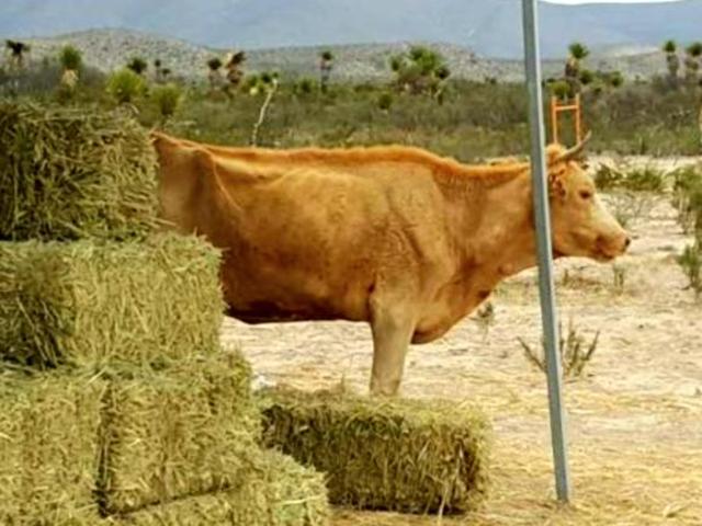 Rancho en venta en Galeana, Nuevo León