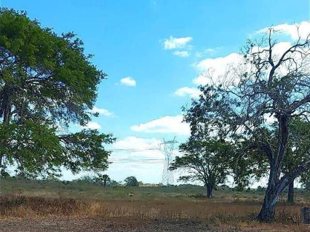 Venta de Rancho en González