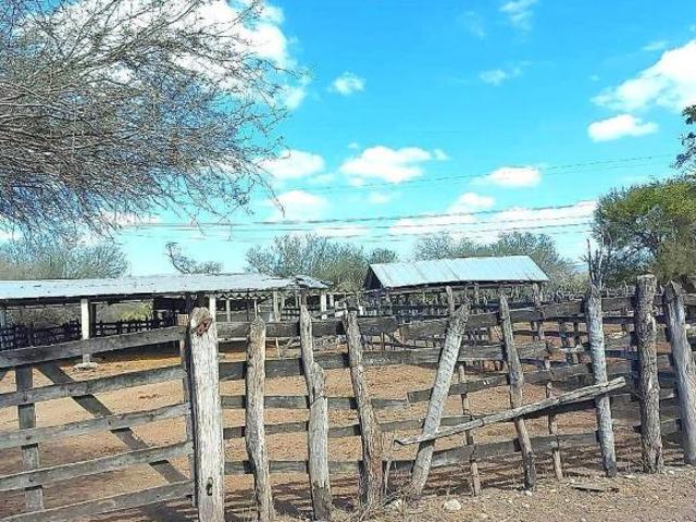 Venta de Rancho en González