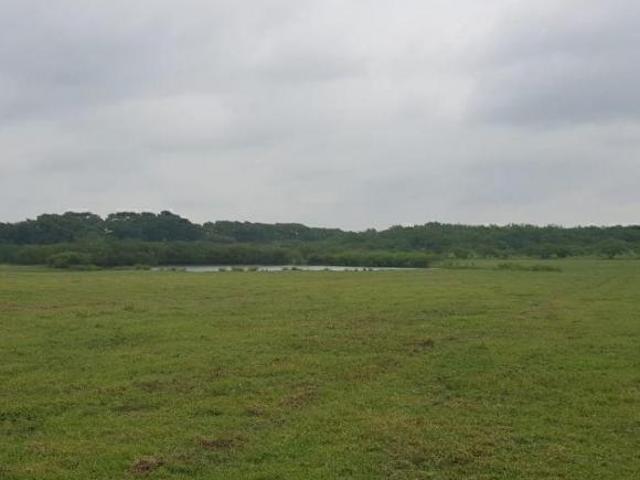 Venta de Rancho en Linares