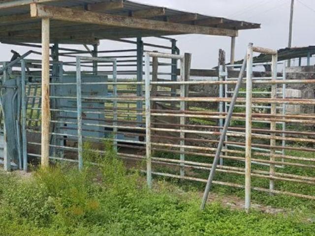 Venta de Rancho en Linares