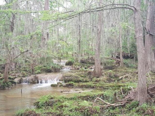 Venta de Rancho en Linares