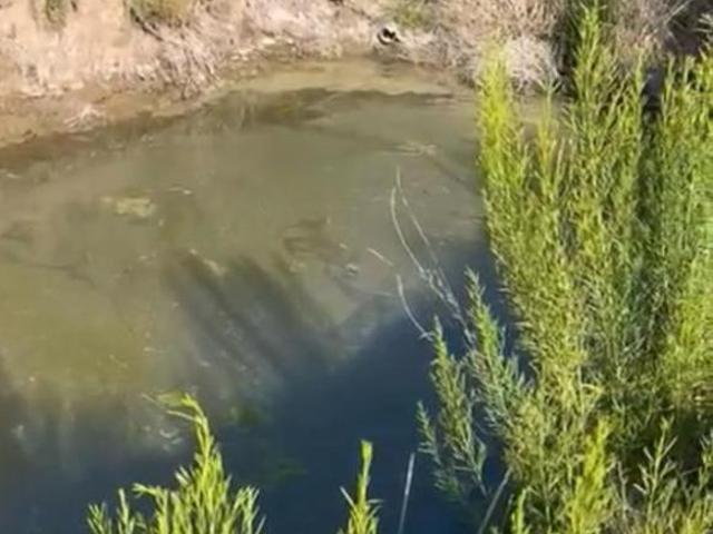 Rancho en venta en Chihuahua