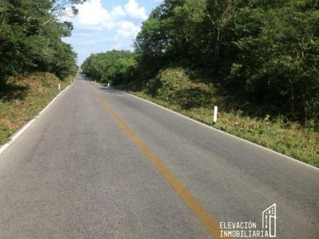 Rancho en venta en Sudzal, Yucatán