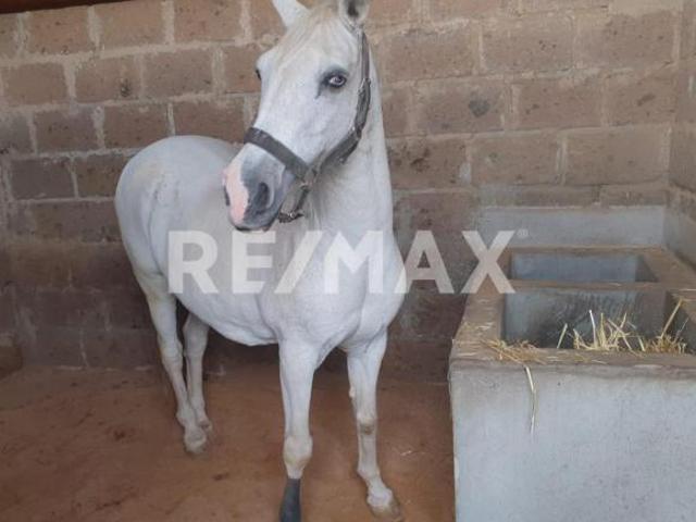 Rancho en venta en Tlaxco, Tlaxcala