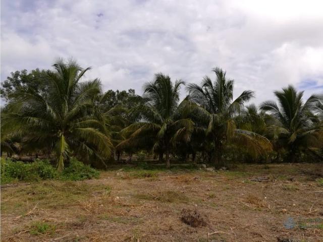 Rancho en venta en Umán, Yucatán