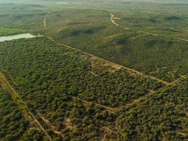 Rancho en venta en Villagrán, Tamaulipas