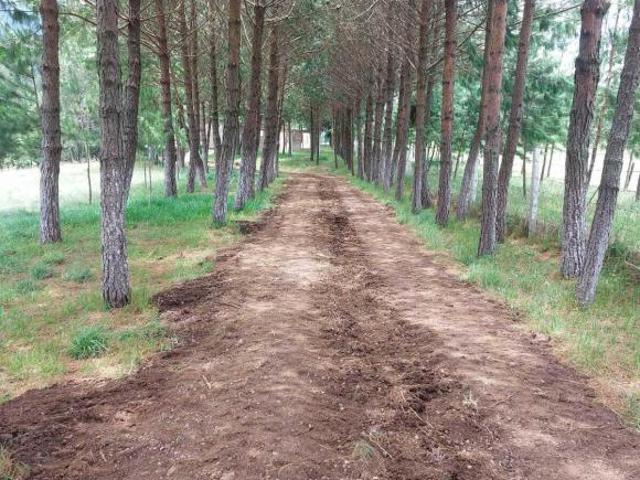 VENTA DE RANCHO EN ZACATLAN TOMATLAN