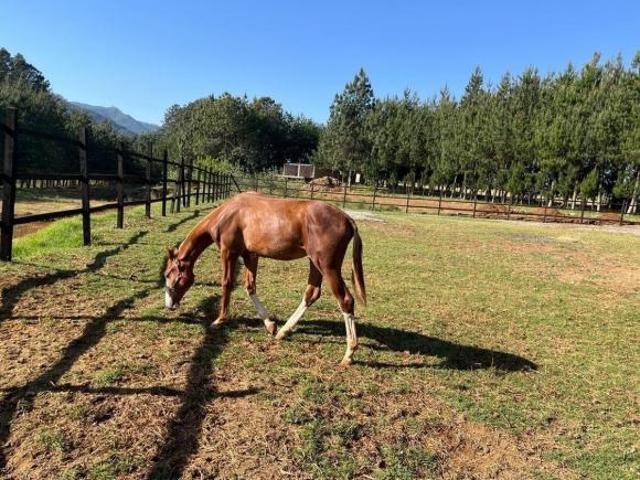 VENTA DE RANCHO EN ZACATLAN TOMATLAN