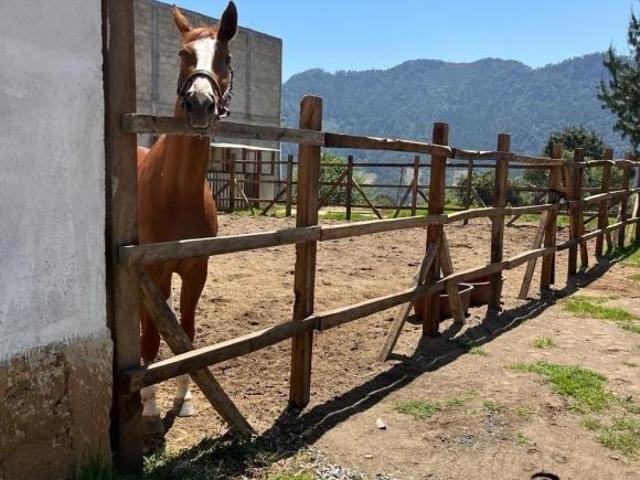 VENTA DE RANCHO EN ZACATLAN TOMATLAN
